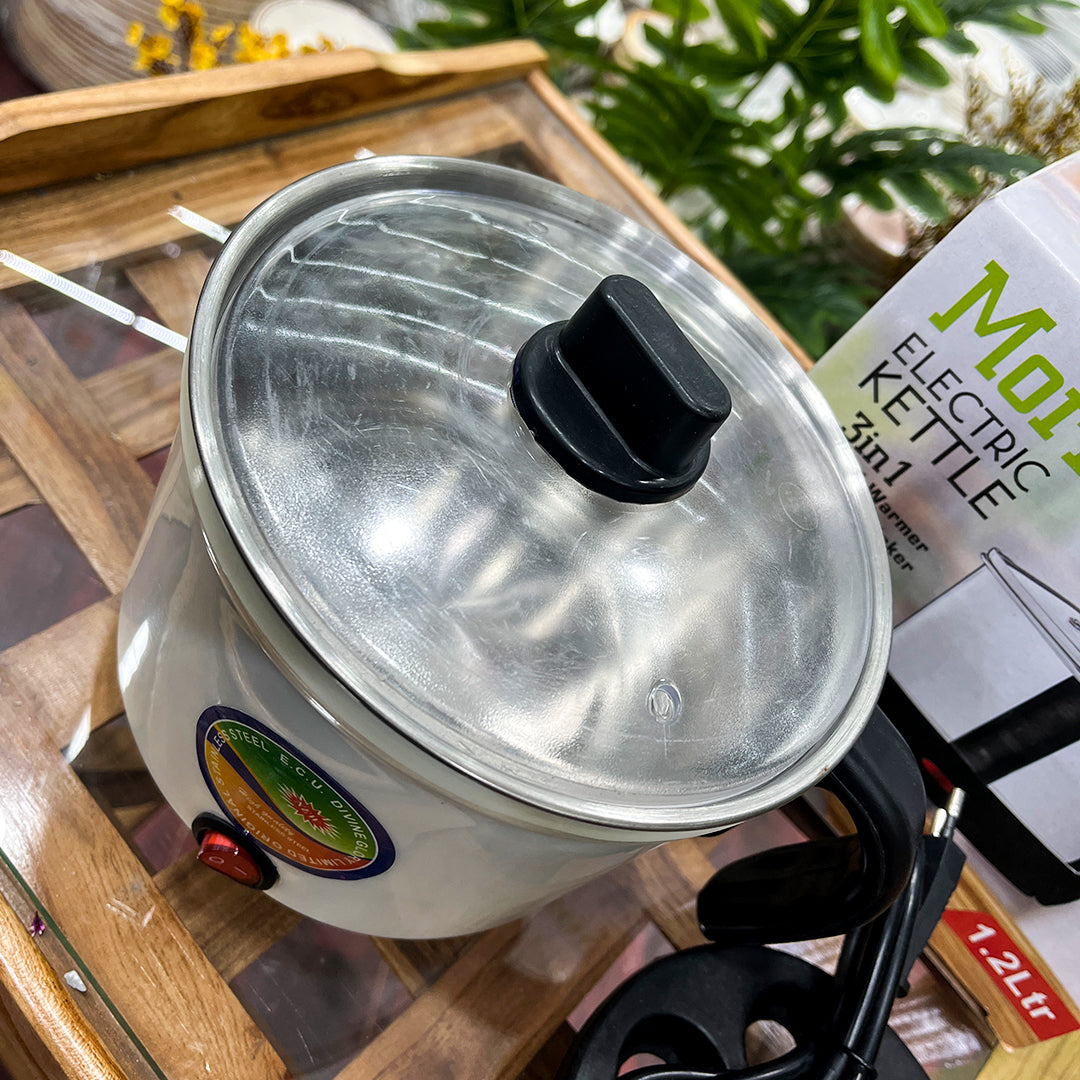 3-in-1 Electric Kettle – Egg Boiler, Noodle Maker & Food Warmer